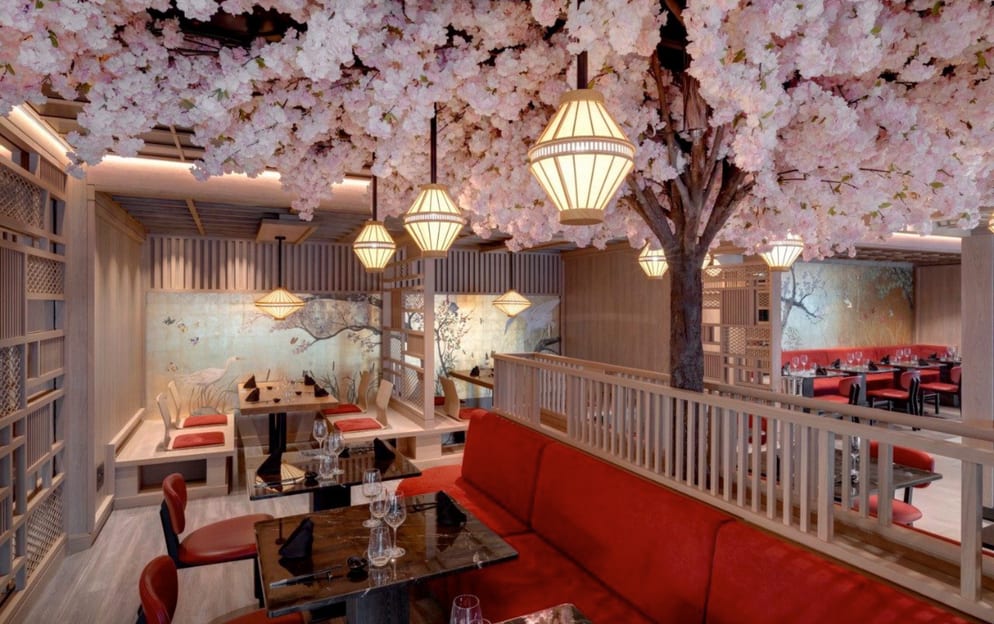 Explora Journeys EXPLORA III Sakura 5.jpg